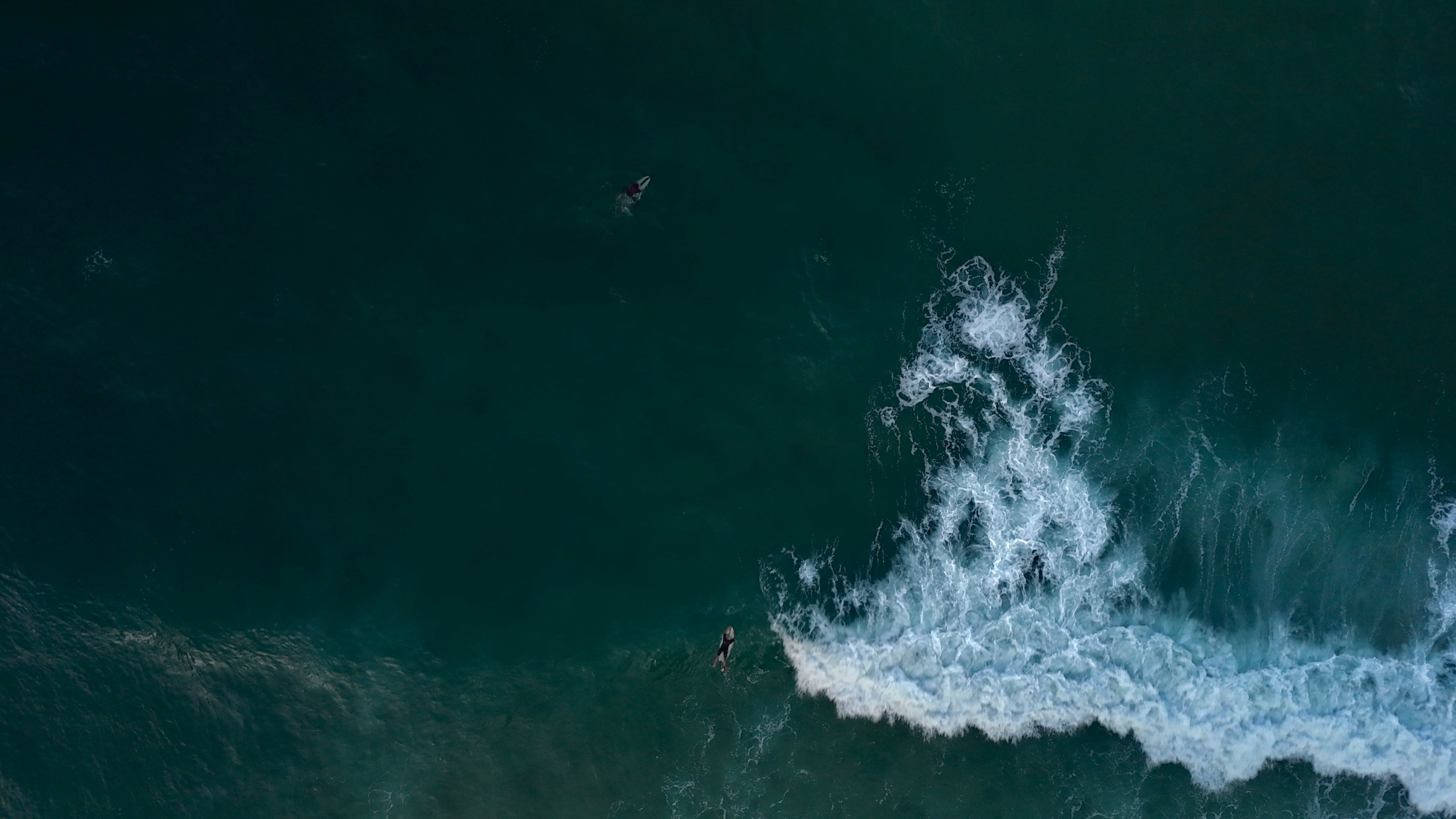 Surfing Beginner Guide