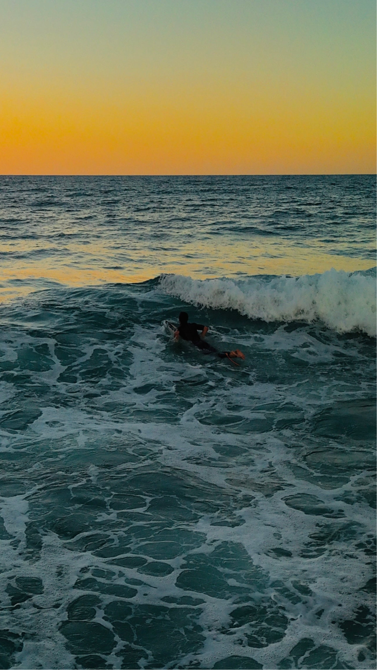 Surfing Beginner Guide